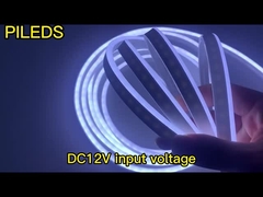 สาย LED Neon